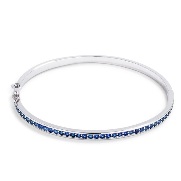 BC00084R V31 eFRmgs