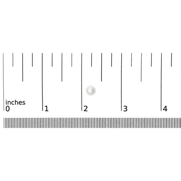 025579EE01 scale