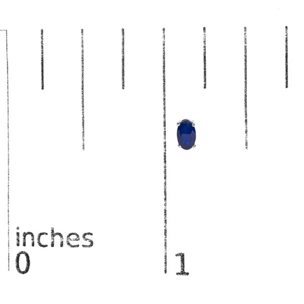 PRE61214SP scale