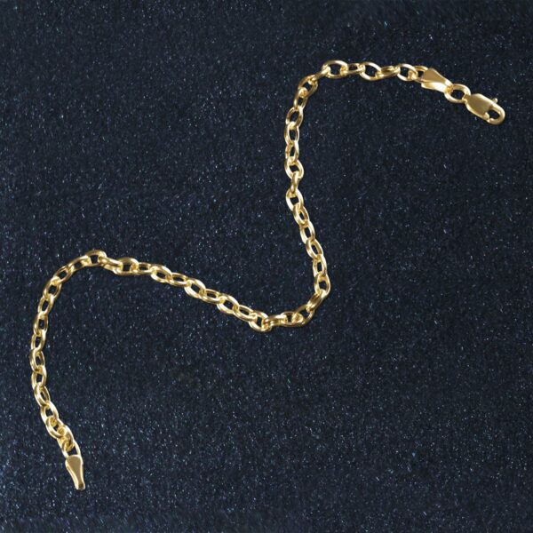 14k Yellow Gold Oval Rolo Bracelet (3.20 mm) - alternate view 4