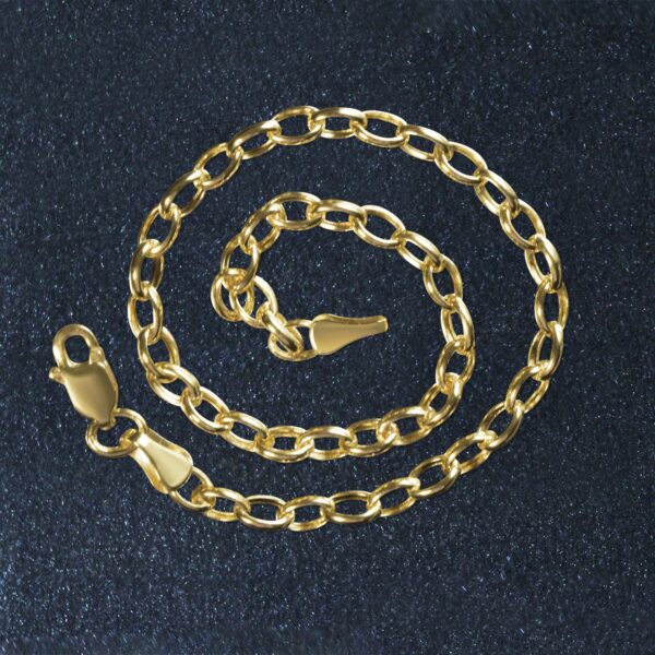 14k Yellow Gold Oval Rolo Bracelet (3.20 mm) - alternate view 5