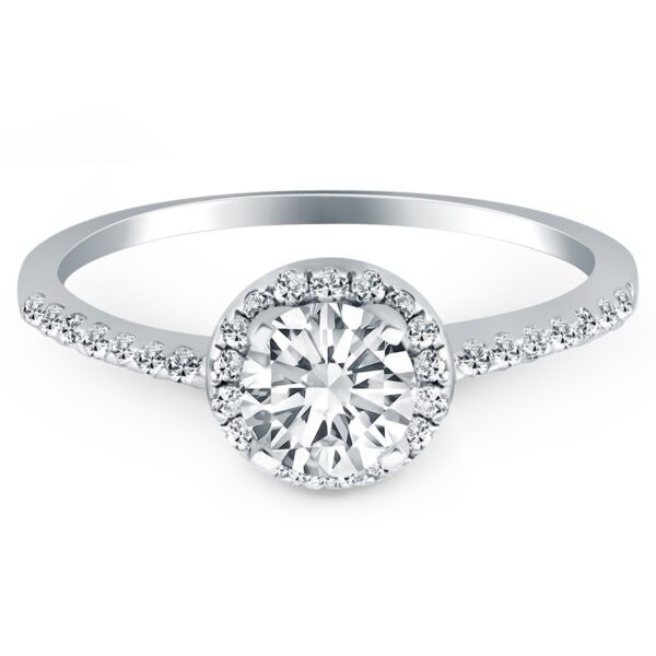 14k White Gold Diamond Halo Collar Engagement Ring - alternate view 2