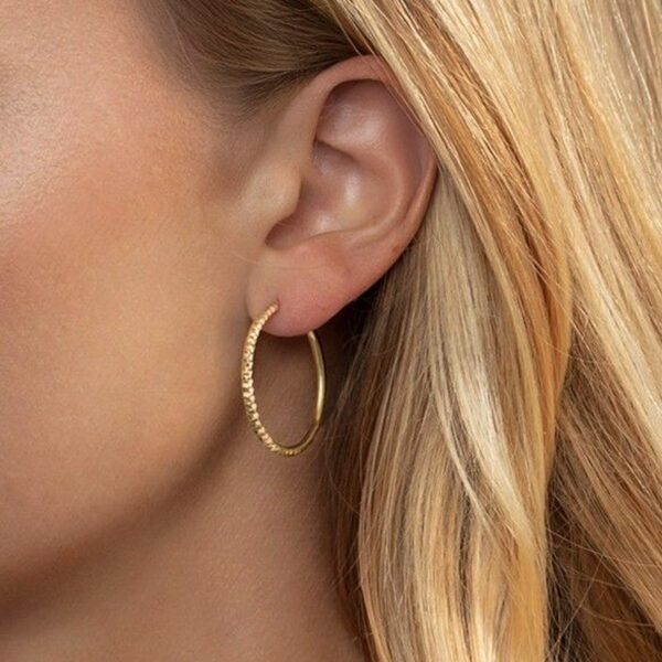 14K Yellow Gold Faceted Round Hoop Earrings - alternate view 4