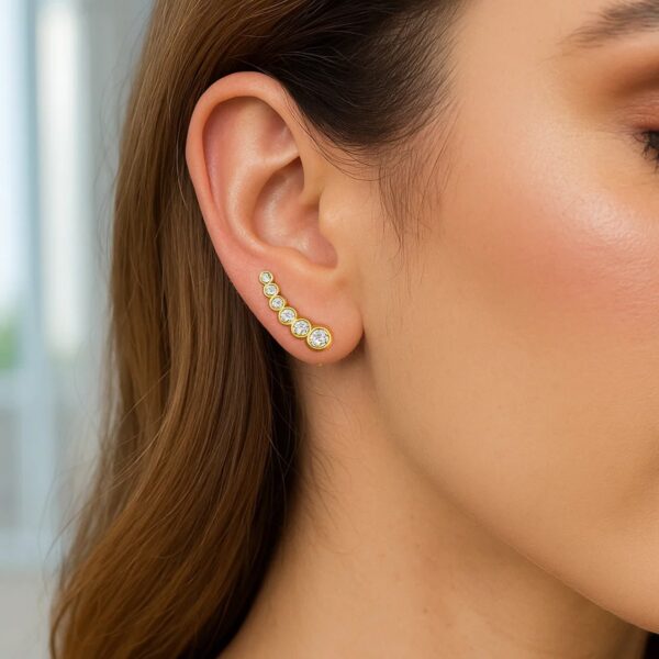 14k Yellow Gold Graduated Circles Climber Post Earrings with Cubic Zirconias - alternate view 2