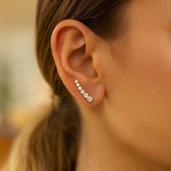 14k Yellow Gold Graduated Circles Climber Post Earrings with Cubic Zirconias - alternate view 3