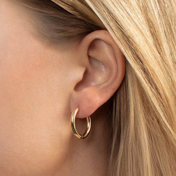14K Yellow Gold Polished Round Hinged Hoop Earrings - alternate view 4