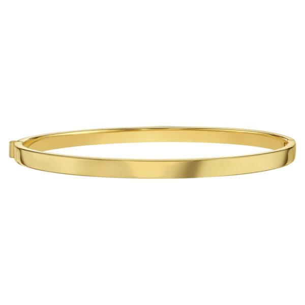14K Yellow Gold Classic Bangle (4.00 mm) - alternate view 2