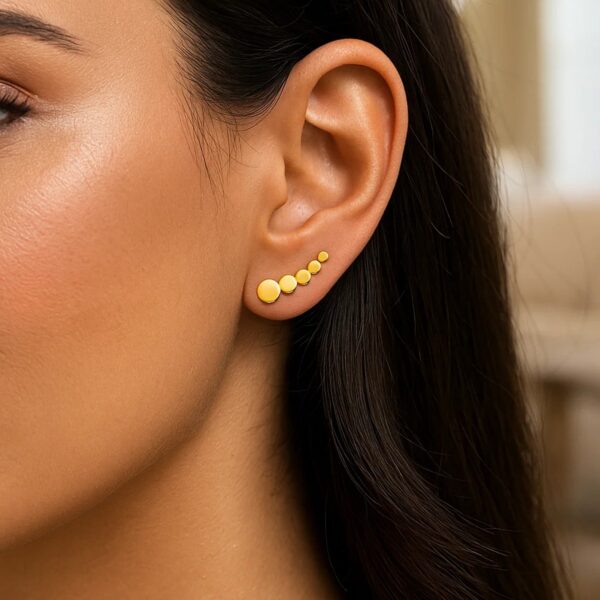 14k Yellow Gold Graduated Circles Climber Post Earrings - alternate view 2
