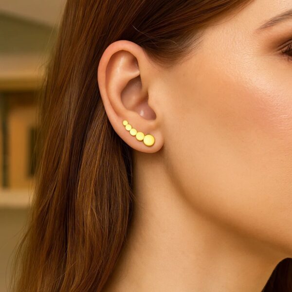 14k Yellow Gold Graduated Circles Climber Post Earrings - alternate view 3