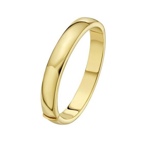 14K Yellow Gold Classic Polished Bangle (10.00 mm) - alternate view 3