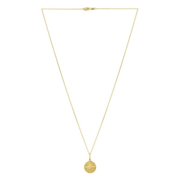 North Star Talisman Necklace in 14K Yellow Gold - alternate view 2