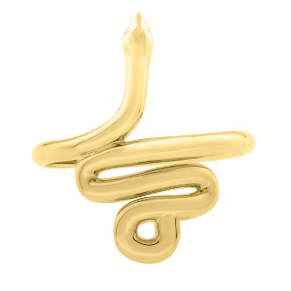 Snake Ring in 14K Yellow Gold (2.00 mm) - alternate view 2
